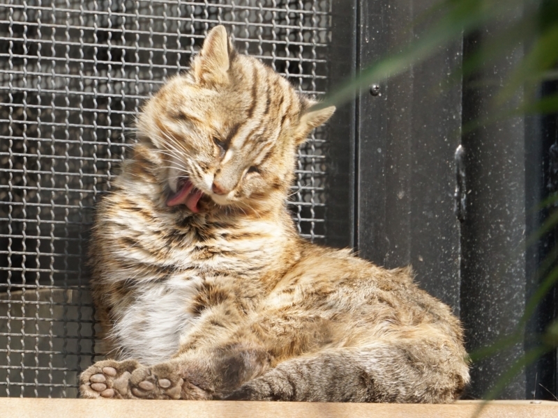 f:id:A-chi:20180213014715j:image:w490 f:id:A-chi:20180213014715j:image:w490