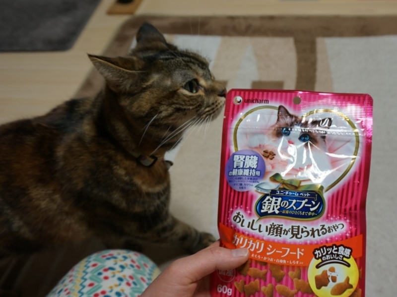 f:id:A-chi:20180330020321j:image:w490