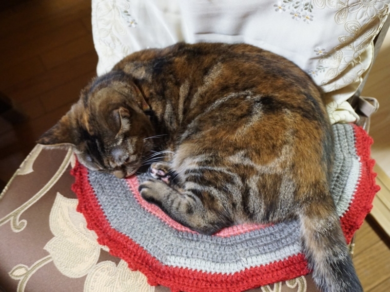 f:id:A-chi:20180519023945j:image:w490