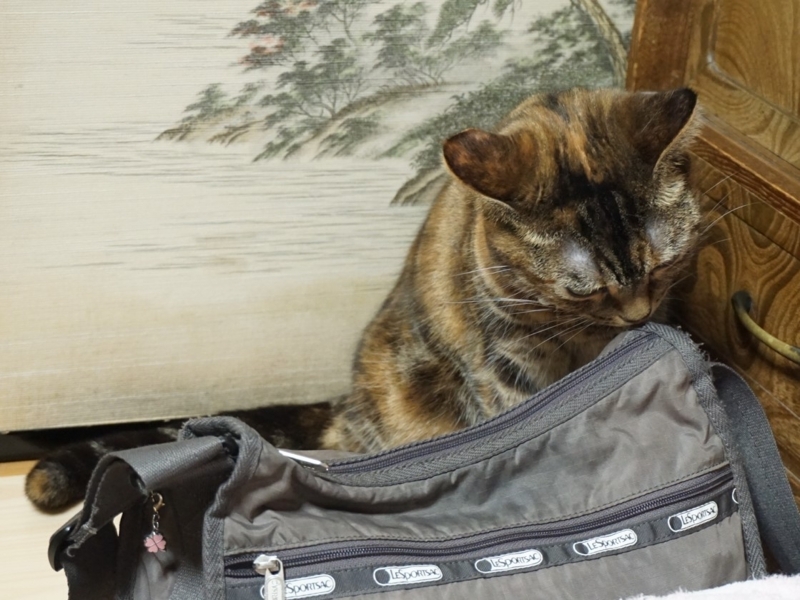 f:id:A-chi:20180710021914j:image:w490