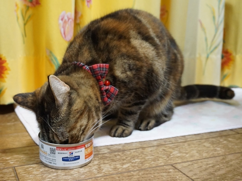 f:id:A-chi:20181026021919j:image:w490