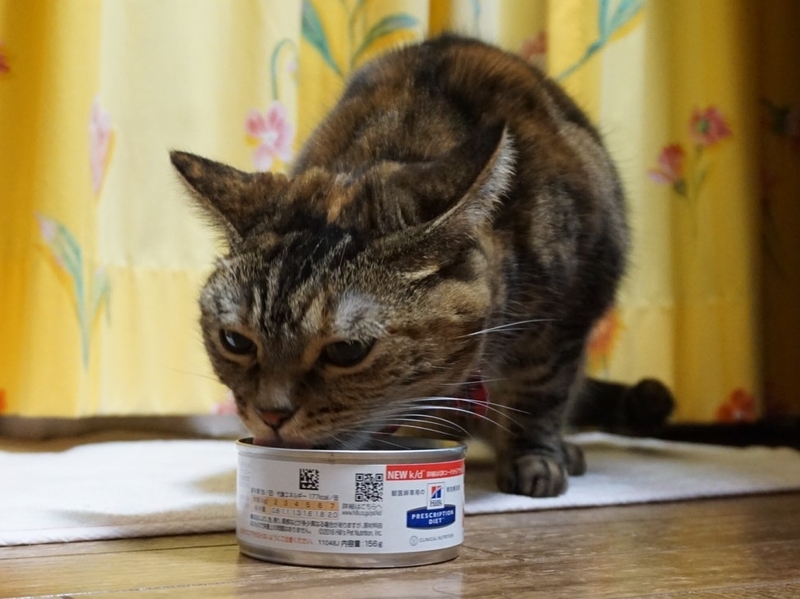 f:id:A-chi:20181215011509j:image:w490