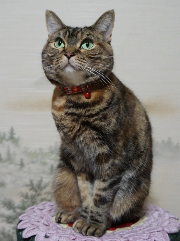 f:id:A-chi:20190206122830j:image:w420