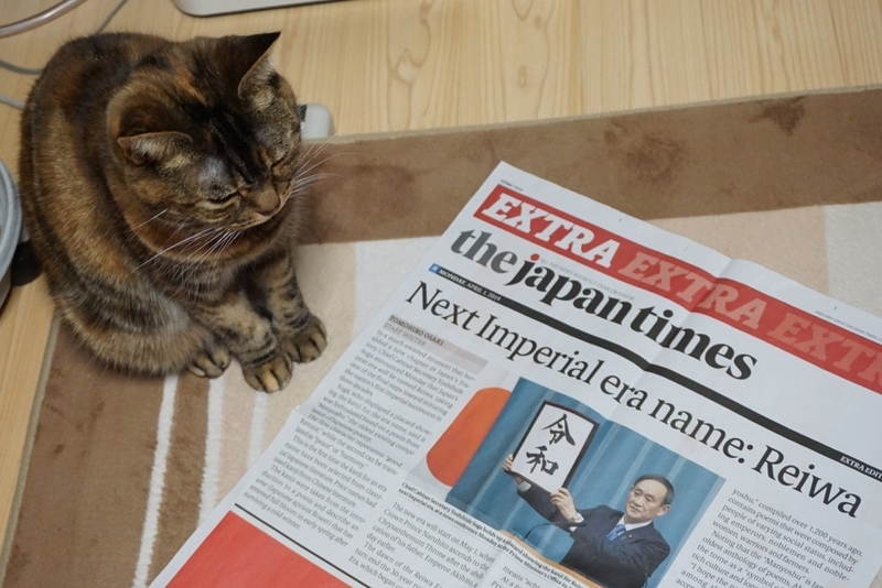 f:id:A-chi:20190402023053j:image:w490