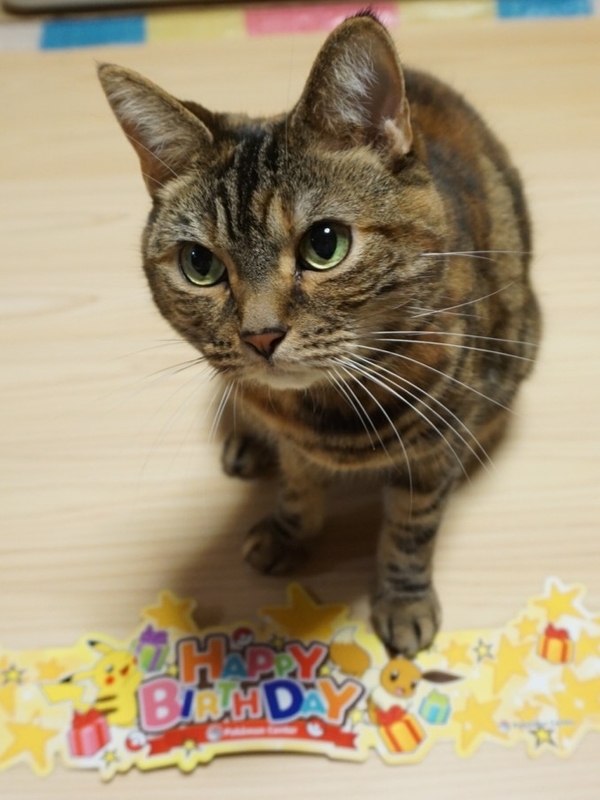 f:id:A-chi:20190605121759j:image:w420