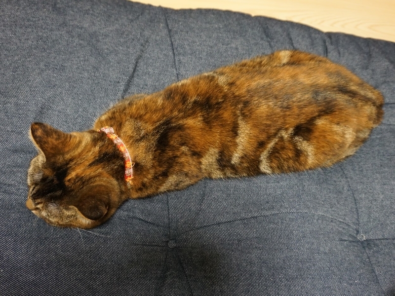 f:id:A-chi:20190623210429j:image:w490