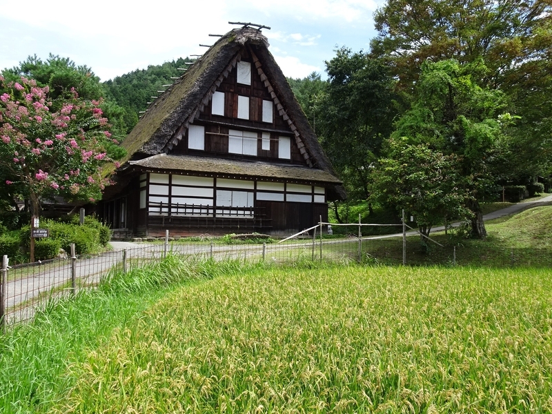 f:id:A-chi:20191006175024j:image:w490 f:id:A-chi:20191006175024j:image:w490