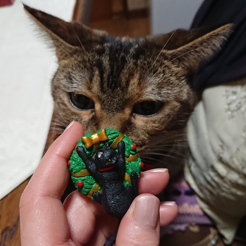 f:id:A-chi:20191202124010j:image:w470