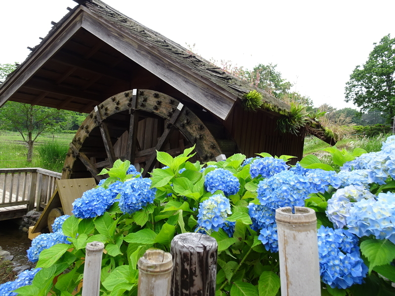 f:id:A-chi:20200607205153j:image:w490
