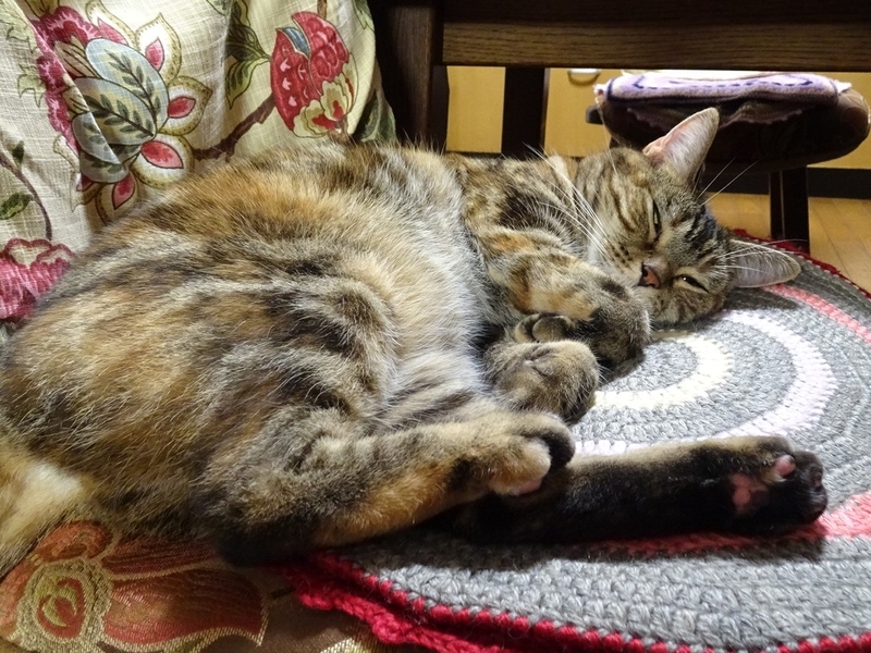 f:id:A-chi:20201004202716j:image:w490