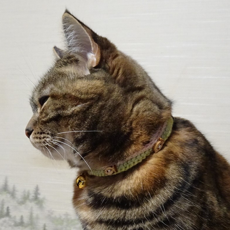 f:id:A-chi:20210206211316j:image:w470