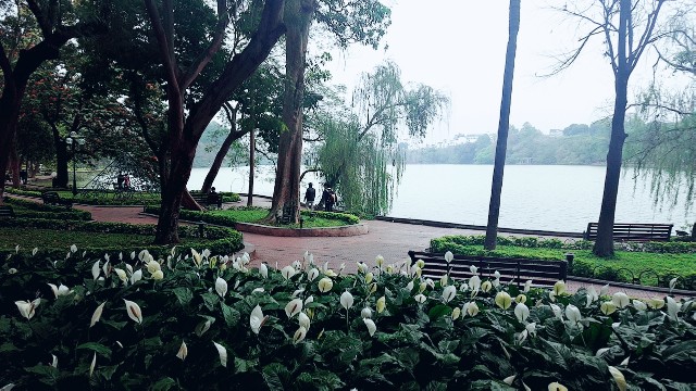 f:id:A-hanoi:20190312100659j:image