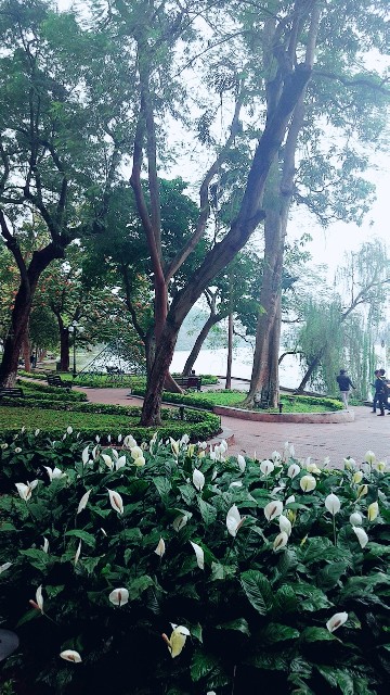 f:id:A-hanoi:20190312100714j:image