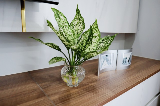 f:id:A-hanoi:20191121181748j:image