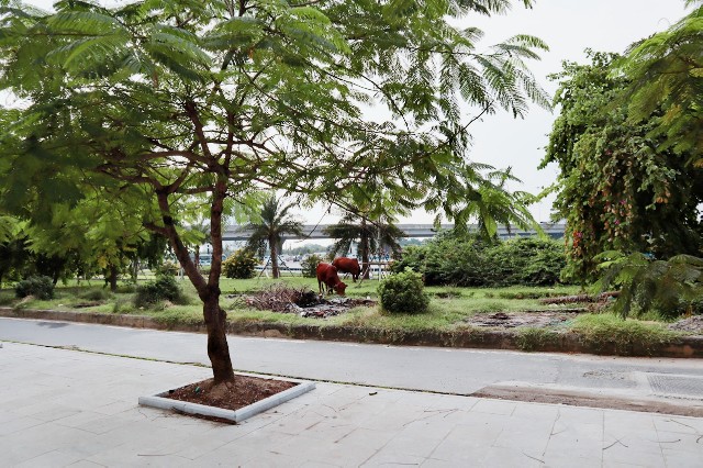 f:id:A-hanoi:20191126094101j:image