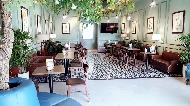 f:id:A-hanoi:20191205155607j:image