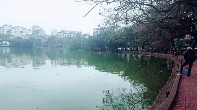 f:id:A-hanoi:20191205164416j:image