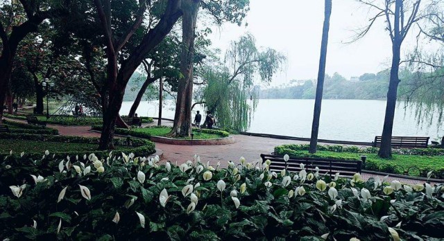 f:id:A-hanoi:20191205164428j:image