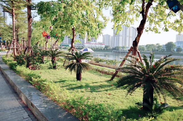 f:id:A-hanoi:20191206115444j:image