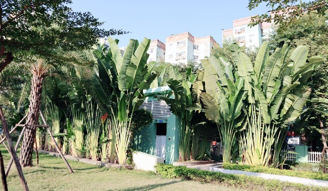 f:id:A-hanoi:20191206115453j:image