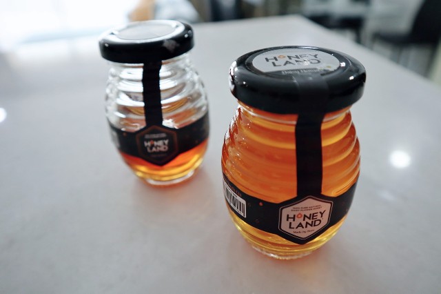 f:id:A-hanoi:20191211231021j:image