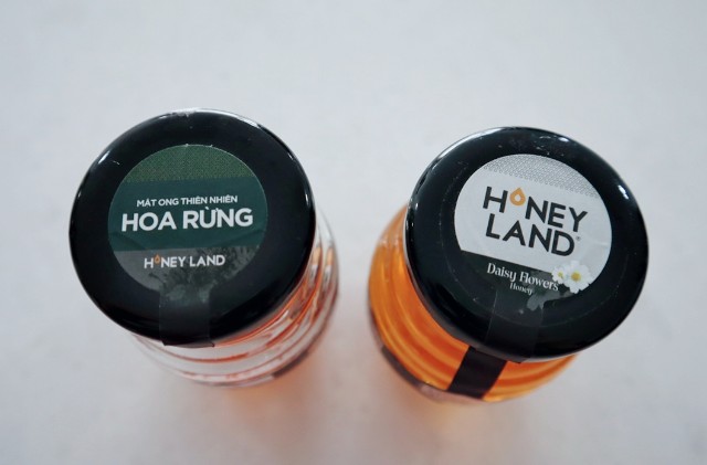 f:id:A-hanoi:20191211231042j:image