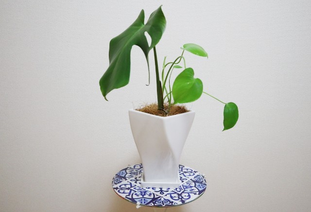 f:id:A-hanoi:20200111225603j:image
