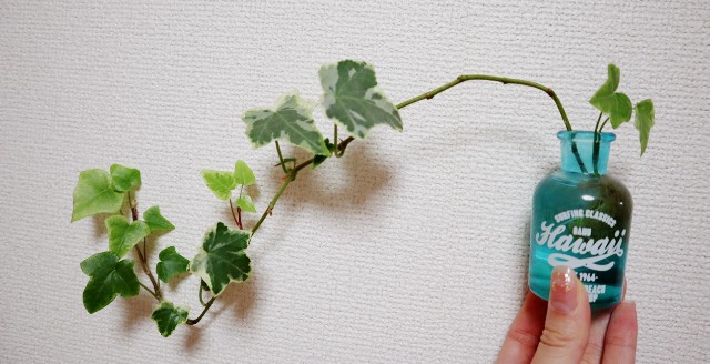 f:id:A-hanoi:20200111225737j:image