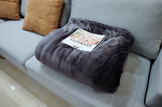 f:id:A-hanoi:20200203102005j:image