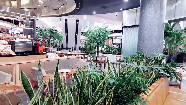 f:id:A-hanoi:20200204222047j:image