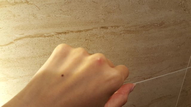 f:id:A-hanoi:20200217102754j:image f:id:A-hanoi:20200217102754j:image