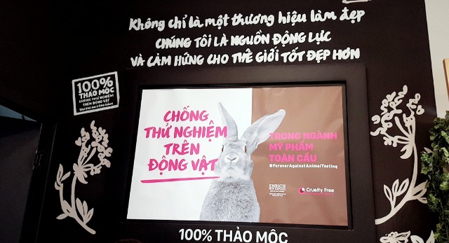 f:id:A-hanoi:20200220191606j:image