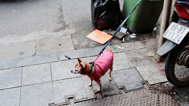 f:id:A-hanoi:20200224134110j:image