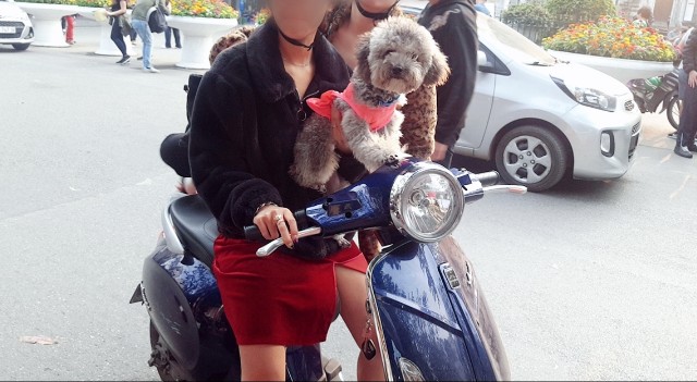 f:id:A-hanoi:20200224134319j:image
