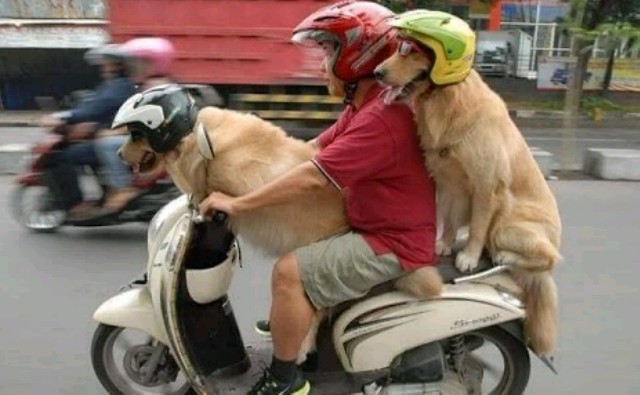 f:id:A-hanoi:20200224134537j:image