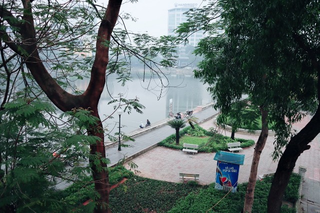 f:id:A-hanoi:20200225112524j:image