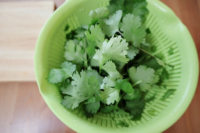 f:id:A-hanoi:20200406155333j:image