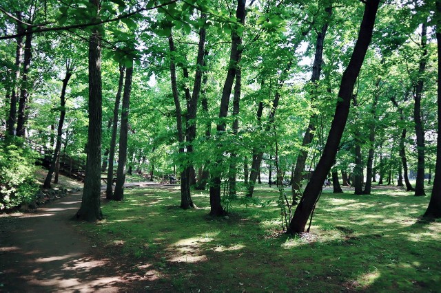 f:id:A-hanoi:20200514182818j:image f:id:A-hanoi:20200514182818j:image