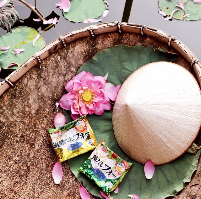 f:id:A-hanoi:20200518200859j:image