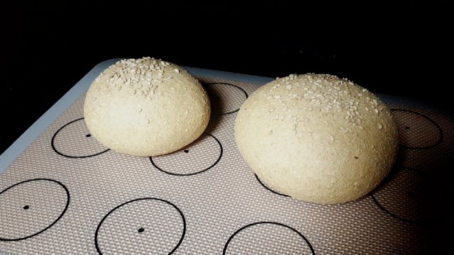 f:id:A-hanoi:20201007210600j:image