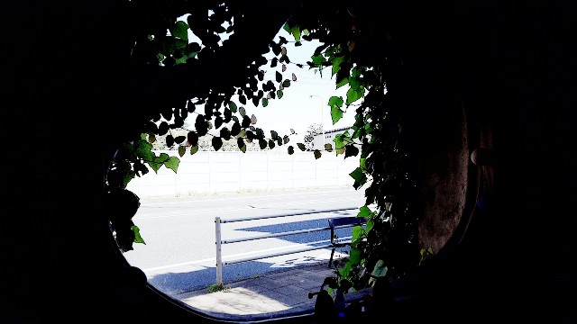 f:id:A-hanoi:20201022185929j:image