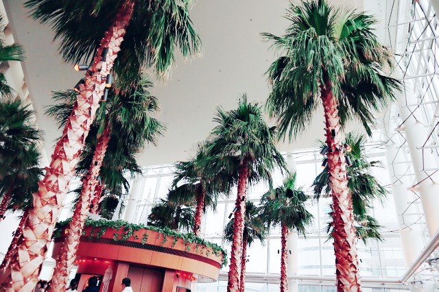 f:id:A-hanoi:20201126093038j:image f:id:A-hanoi:20201126093038j:image