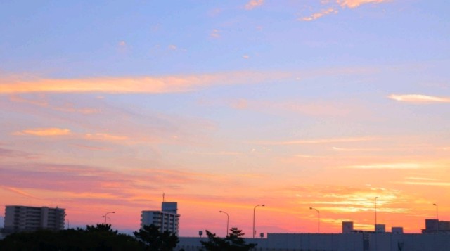 f:id:A-hanoi:20201206223537j:image f:id:A-hanoi:20201206223537j:image