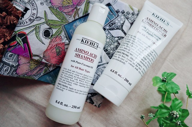 f:id:A-hanoi:20210106185956j:image