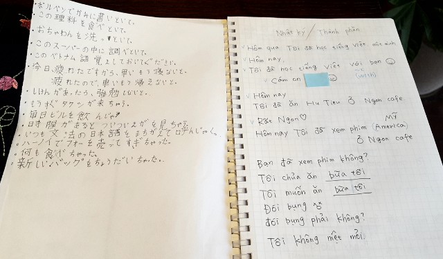 f:id:A-hanoi:20210303210323j:image