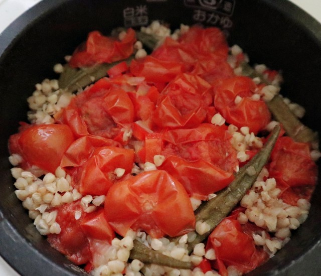 f:id:A-hanoi:20210313213745j:image
