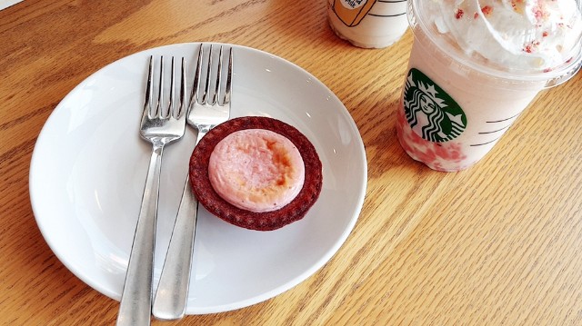 f:id:A-hanoi:20210325085803j:image