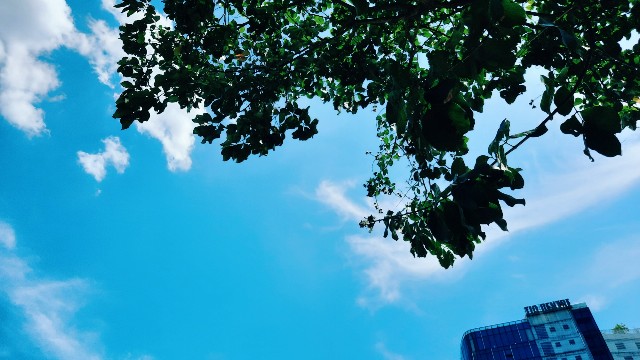 f:id:A-hanoi:20210604182329j:image