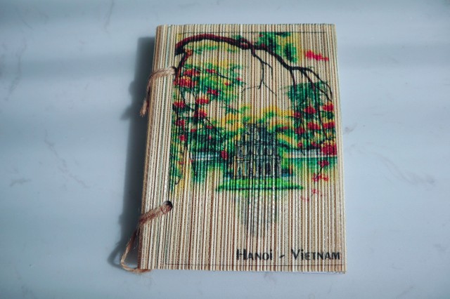 f:id:A-hanoi:20210617123324j:image