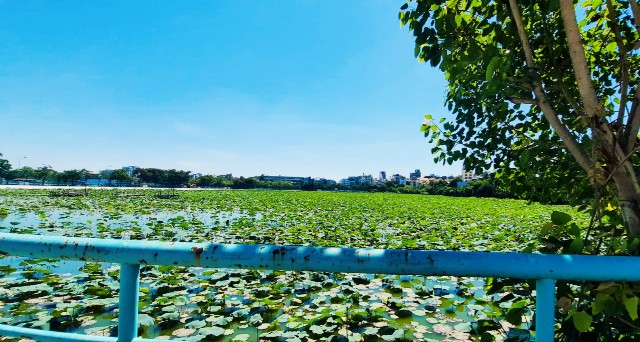 f:id:A-hanoi:20210626000521j:image